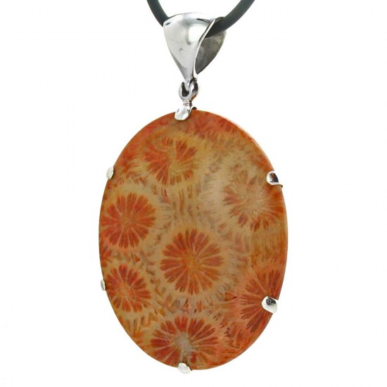 Our Largest Fossil Coral Pendant